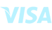 Visa Credit card logo